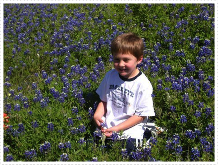 Kratz Hayden bluebonnets 07